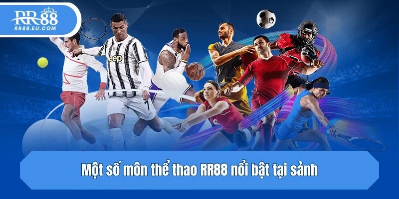 Một số môn thể thao nổi bật tại sảnh của RR88